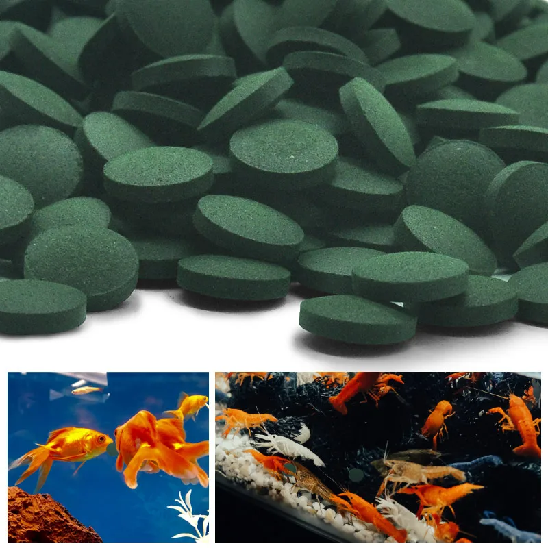 Spirulina Tablet Organic - 100 pçs comprimidos de spirulina de