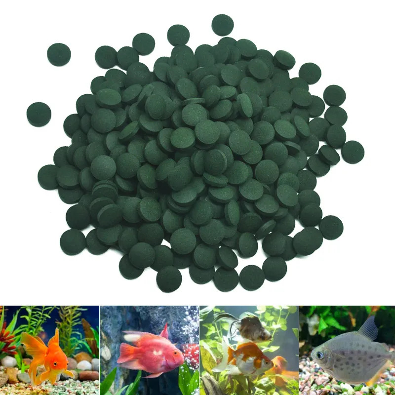 100-3000pc comprimidos de espi - Spirulina Tablet Organic avaliação e preço