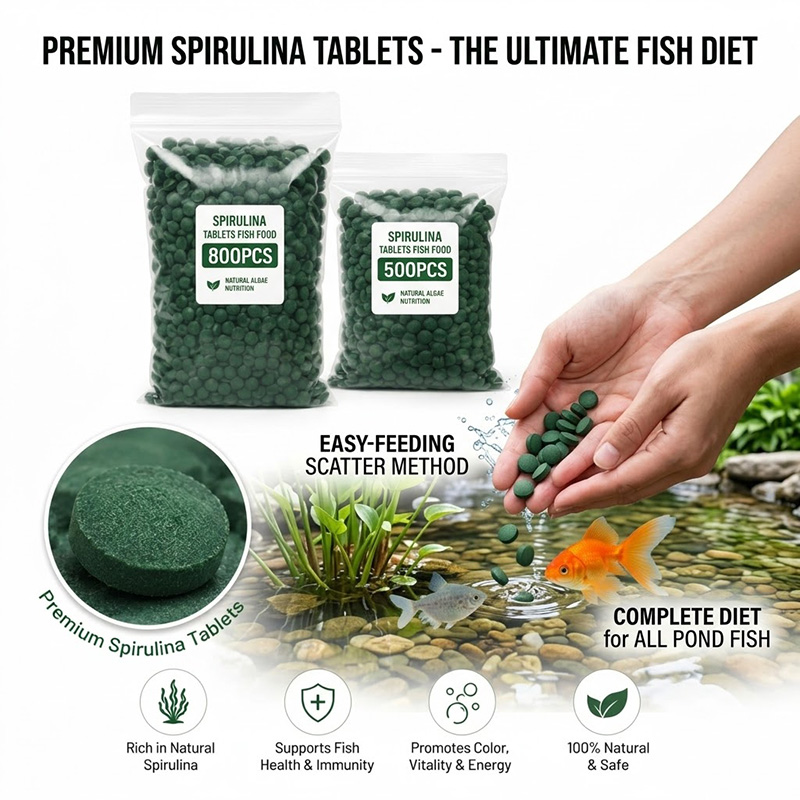 Tabletes de Spirulina de Alta  - Spirulina Tablet Organic avaliação e preço